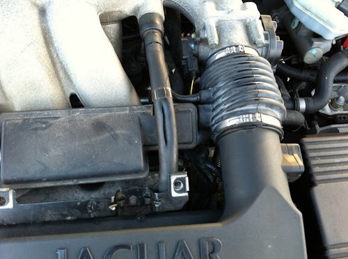 Engine crankcase breather hose - engine,