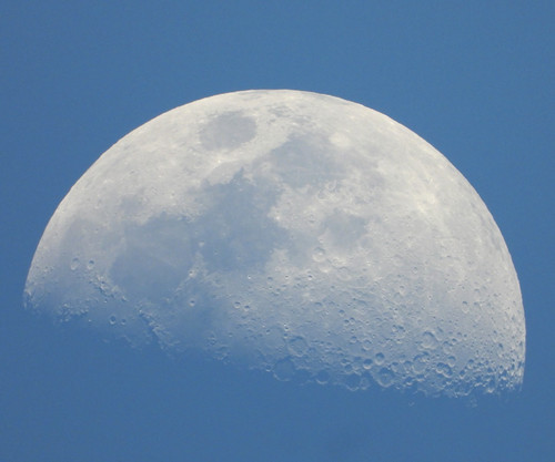 Nikon coolpix p1000 - p1000, zoom