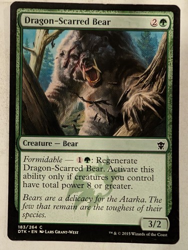 Dragon scarred bear dragons - dragon-scarred,