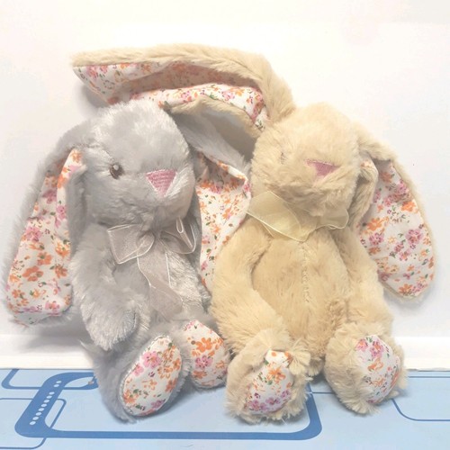 Pair cute bunny - of, rabbits