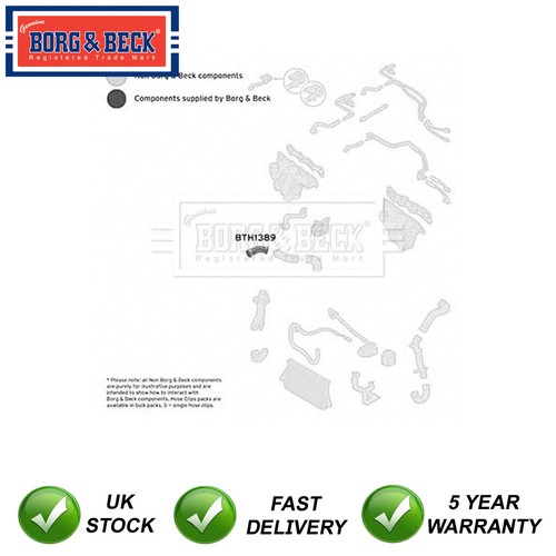 Turbo hose borg - &, fits