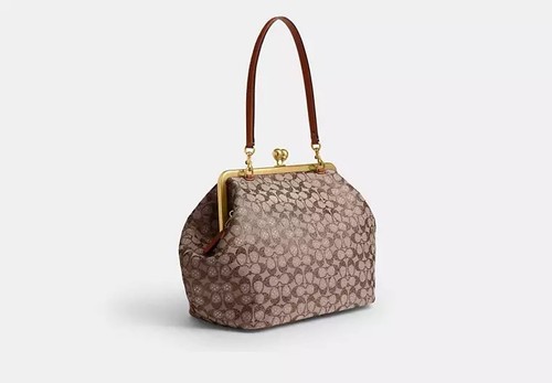 Coach large kisslock frame - kisslock, bag