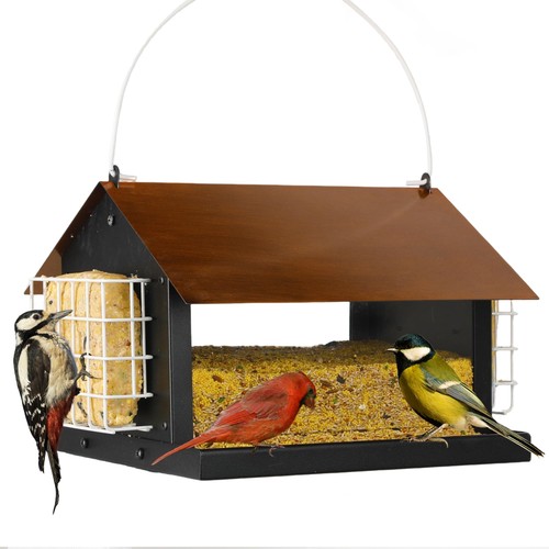 Solution4patio bird feeders - bird,