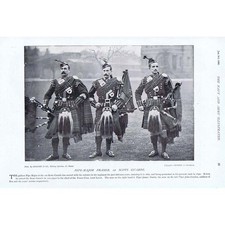 Pipers of the 1st Scots Guards - Antique Print 1896