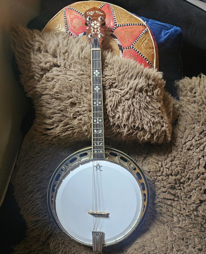 Gold tone 250 - gold, 4-string