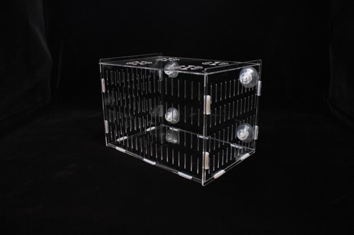 Fish breeding isolation box - fish,