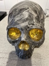 Life Size Hard Plastic Skull