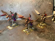 Warhammer the Old World Bretonnian Pegasus Knights Well Painted X3