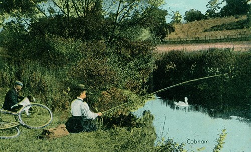 Cobham surrey cycling - surrey, and