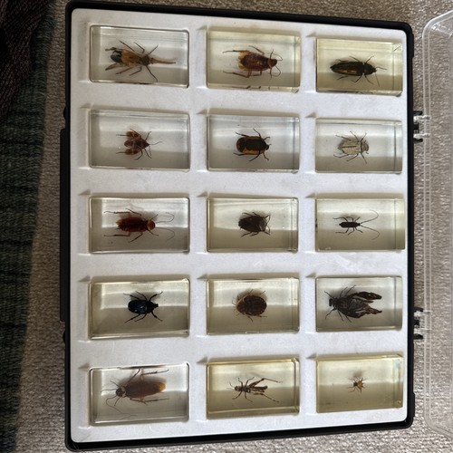 Selection curiosities of - of,