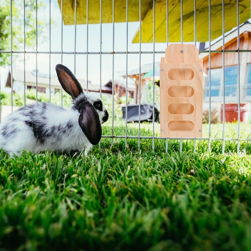 Mess rabbit hay - rabbit,