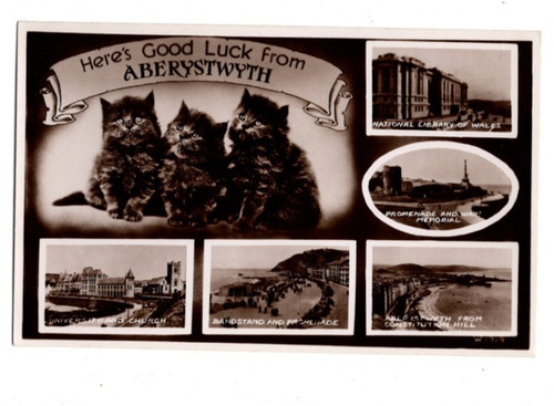 Good luck from - from, aberystwyth