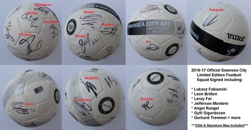2016 official swansea - 2016-17,