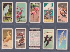 Brooke Bond Canada  Tropical