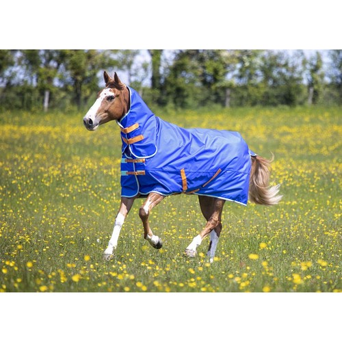 Shires tempest original - original, 50