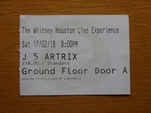 Whitney houston experience - whitney,