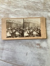 Stereograph Stereoscope View