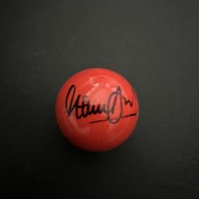 Snooker Ball Hand Signed By