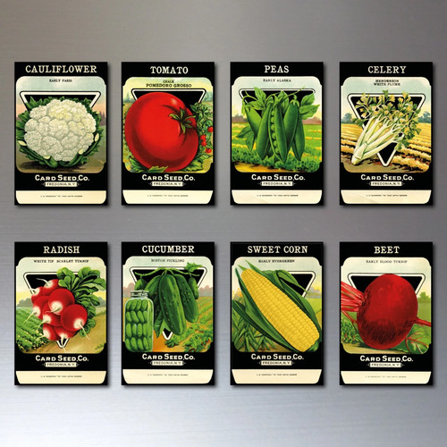 Vintage seed packet - seed, fridge