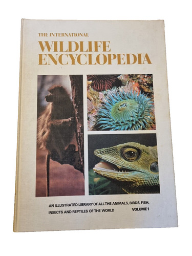 The international wildlife - international,