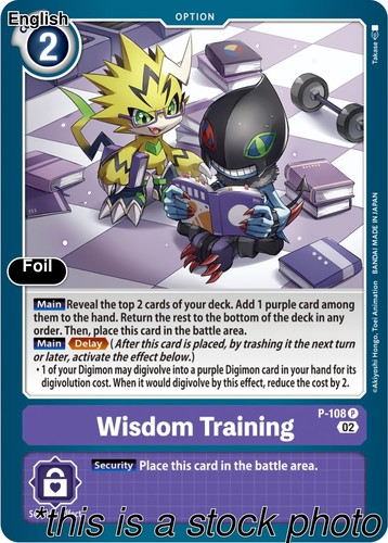 Wisdom training blast - wisdom,