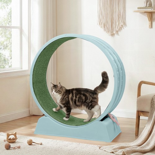 31 5in cats - 39.4,