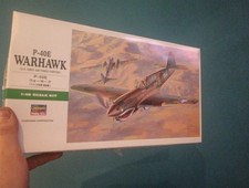 1:48 scale Hasegawa WWII USAF