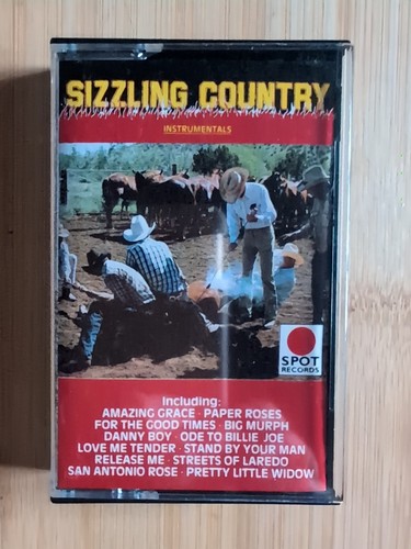 Sizzling country instrumentals - country,