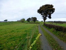 Photo 6x4 Lane, Carony