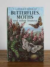 Butterflies Moths and Other
