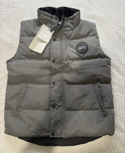 Canada goose grey - canada,