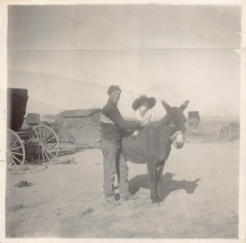 Young boy riding donkey 1920s - young,