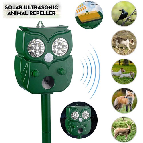 Ultrasonic dog cat - dog,
