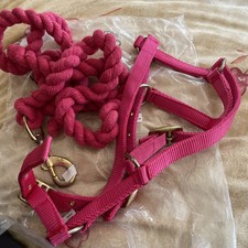 Rhinegold Nylon Foal Head Collar And Leading Lead Raspberry Colour New