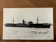 Merchant Navy Postcard Hall Brothers SS Co Ltd, SS Royal Sceptre 827