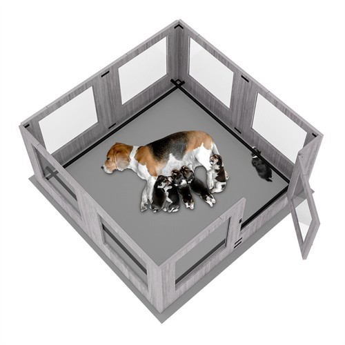 Tempered glass pet whelping - tempered,