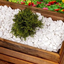Decorative Garden Stones EXTRA