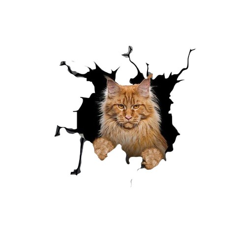 Funny cat car sticker decal - funny,