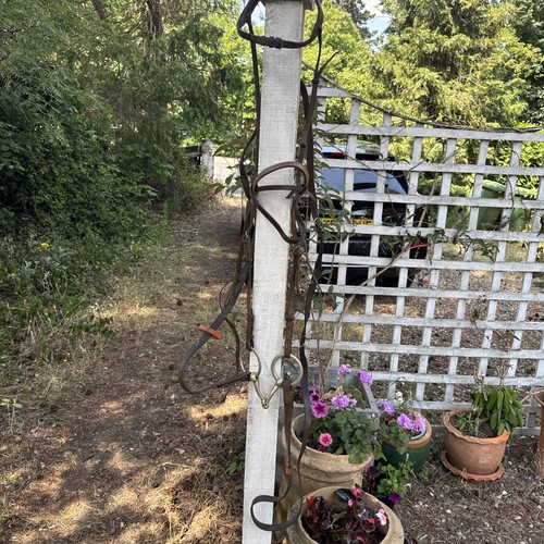 Vintage leather horse - vintage, bridle