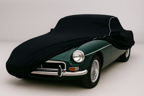 Indoor stretch cover - indoor, carcover