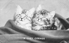 POSTCARD - TWO TABBY KITTENS - EDWARDIAN - A COSY CORNER
