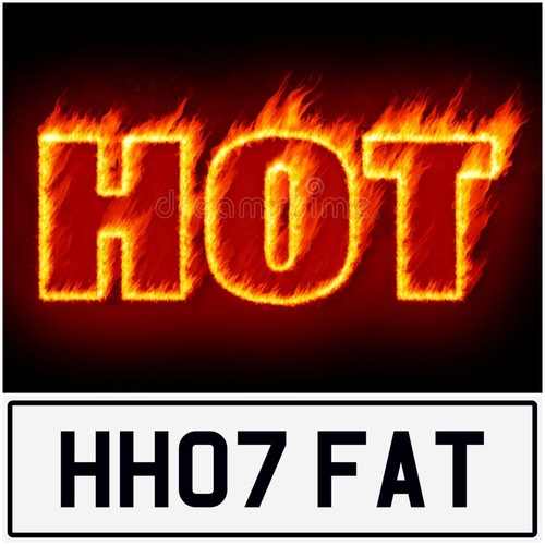 Hot fat fast food - hot,