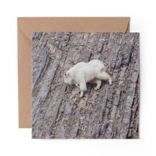 1 x Blank Greeting Card