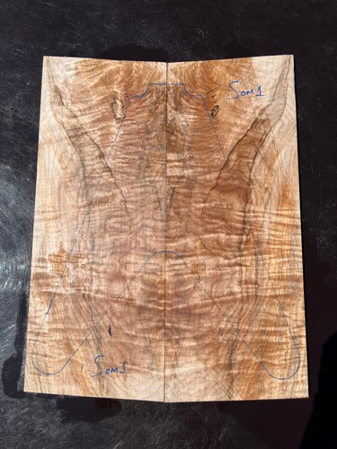 Spalted quilt maple - spalted,