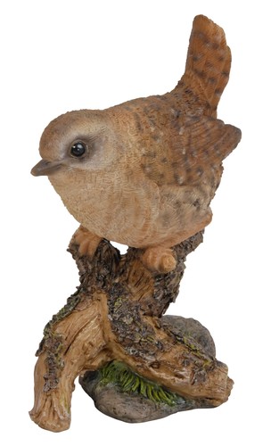 Wren bird lifelike - wren,