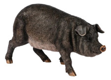 Black pig ornament resin - black,