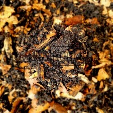 100% Organic, Edible Isopod, Beetle, Millipede Substrate 6L