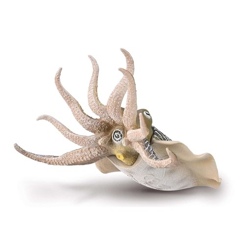 Collecta common cuttlefish - collecta,