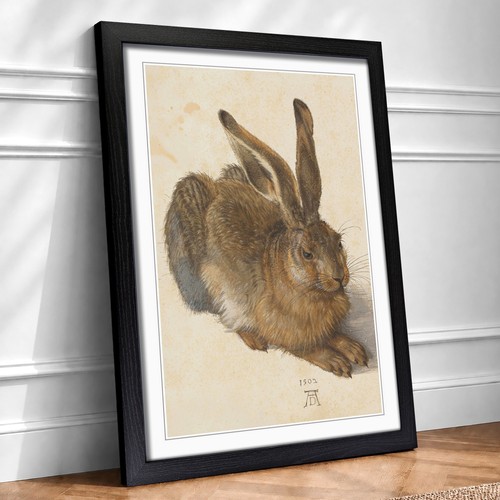 Albrecht durer the hare - hare, framed