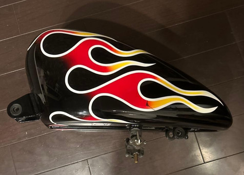 Harley davidson genuine gas - harley,